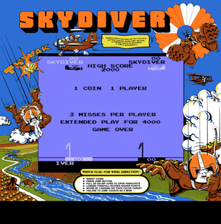 Skydiver screenshot